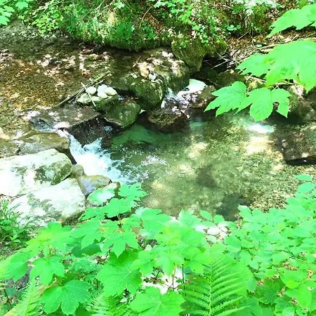 Waldchalet Kreuzthal Dom wakacyjny Buchenberg (Bavaria)