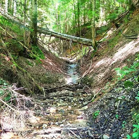 Waldchalet Kreuzthal Dom wakacyjny Buchenberg (Bavaria)