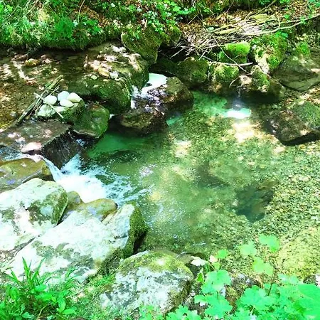 Waldchalet Kreuzthal * Buchenberg (Bavaria)